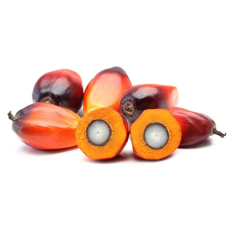 Fiyatın Ötesinde: Palm Yağı Tedarik Zinciri Seçim Rehberi