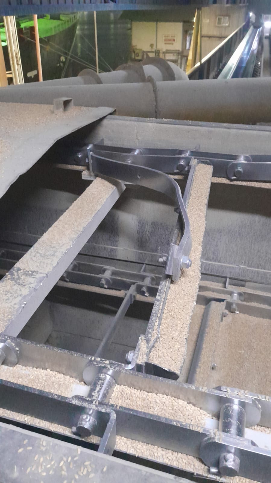 WhatsApp Image 2024-10-08 at 08.48.25.jpeg